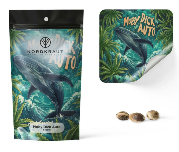 Samen 3x Moby Dick Automatik Nordkraut